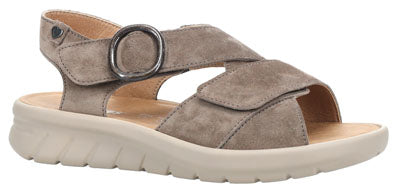 Hartjes Calypso