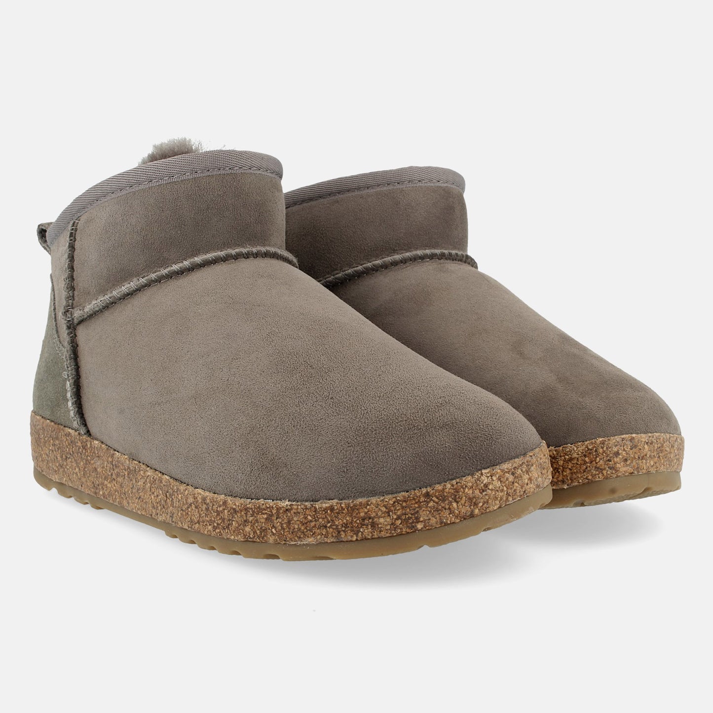 Haflinger Elsa