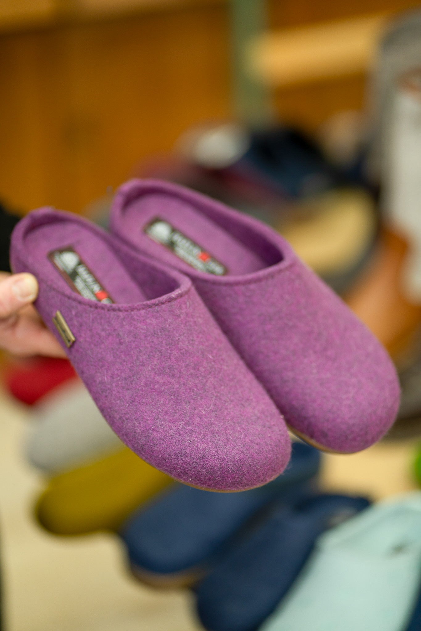 Haflinger Everest Fundus