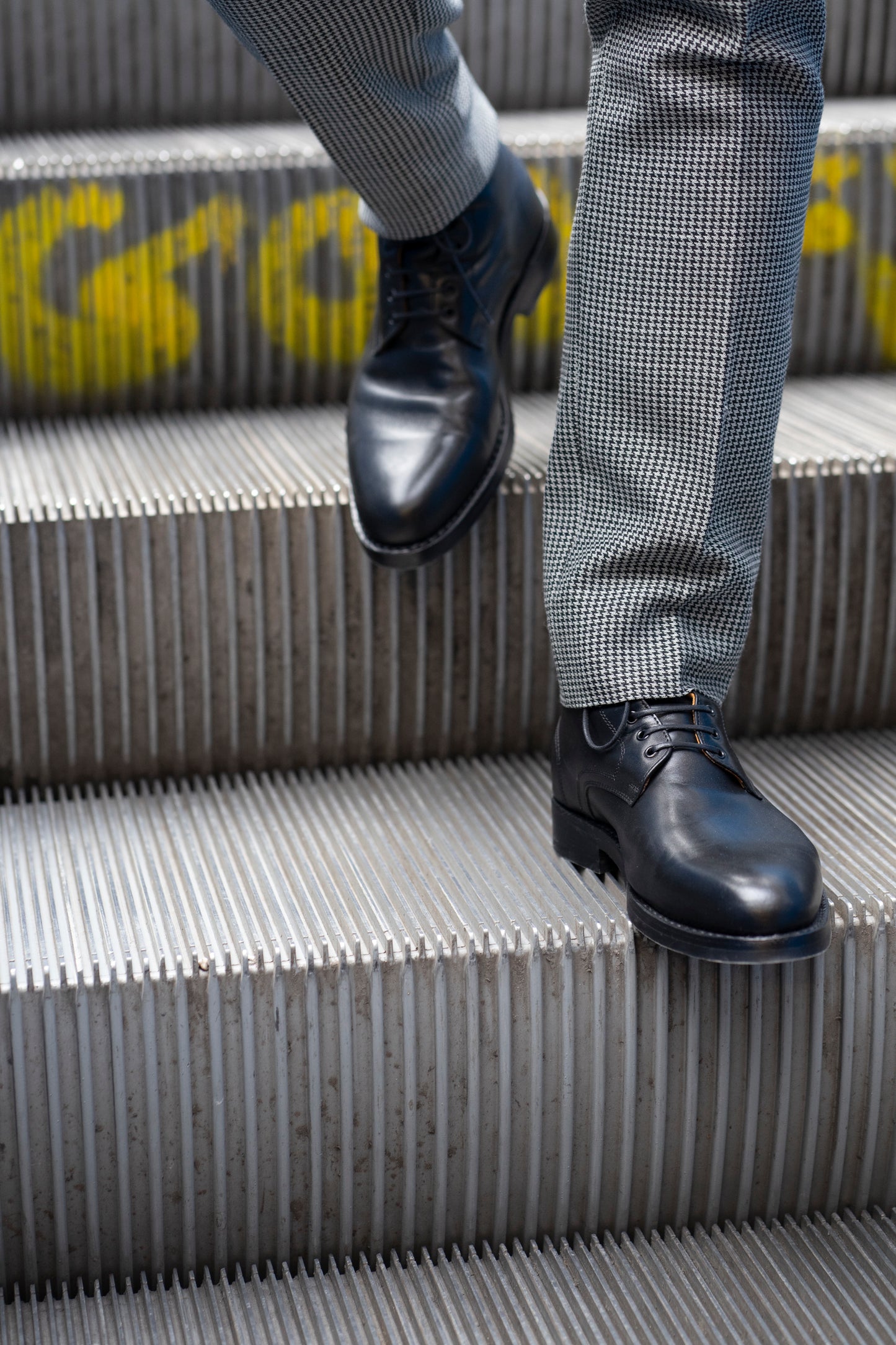 Laszlo Armando (Herren), Exclusiv bei uns.