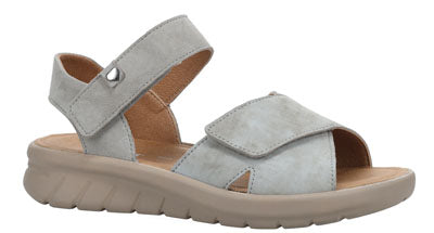 Hartjes Calypso