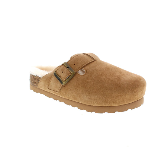 Haflinger Iceland Hawk