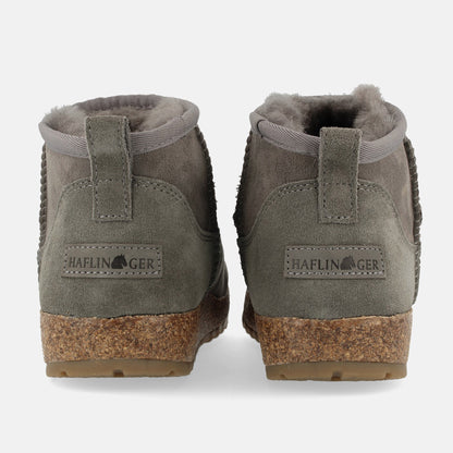 Haflinger Elsa