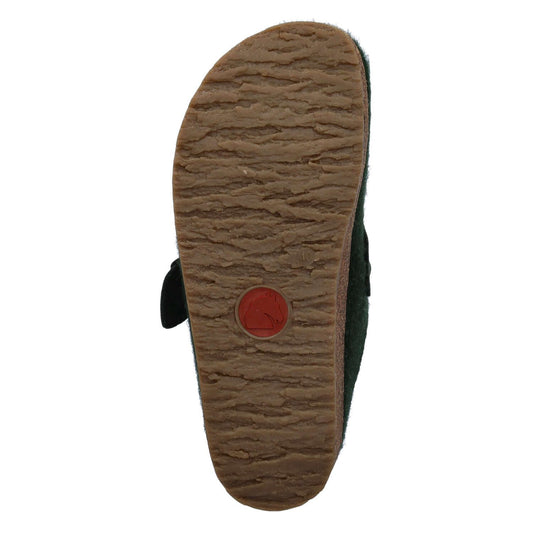 Haflinger Grizzly Chicago