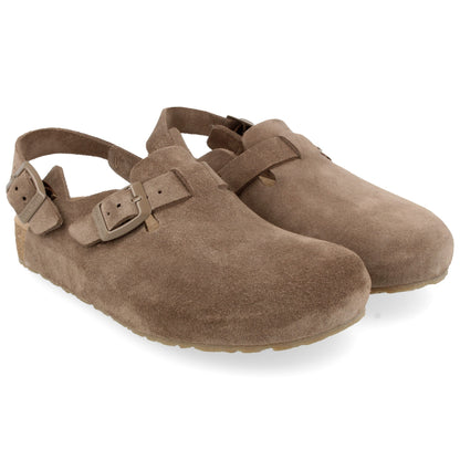 Haflinger Faro