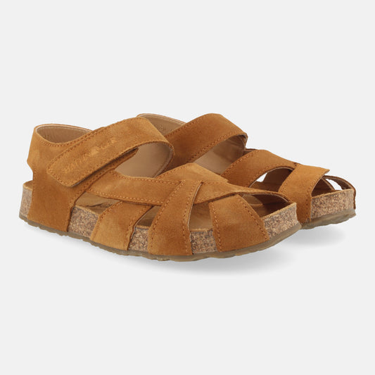 Haflinger Bio Norma