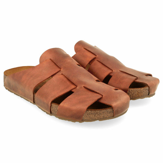 Haflinger Bio Pius (Unisex)