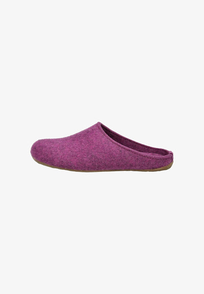 Haflinger Everest Fundus