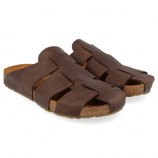 Haflinger Bio Pius (Unisex)